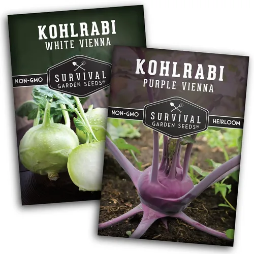 Colección de semillas de colinabo para plantar, 2 paquetes para plantar y cultivar plantas de colinabo de Viena blanca y púrpura de Viena - Cebollas