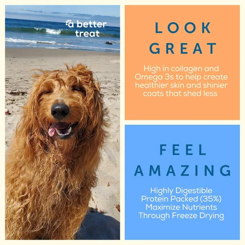 Miniatura 3 de A Better Dog Food Alimento seco para perros con pollo Crudo que puedes ver croqueta alta en proteínas + alimento crudo liofilizado para perros