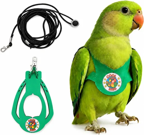 Miniatura 17 de Juego de arnés ajustable y correa para pájaros pequeños, apto para periquitos, conures, cacatúas, mejillas verdes, loros cuáqueros (verde, XS) 6350-6
