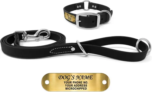 Miniatura 19 de Regal Dog Products Collar de Perro Naranja Mediano con Placa de Nombre Grabada Personalizada - Ajuste Personalizado, Resistente, Fácil de Limpiar
