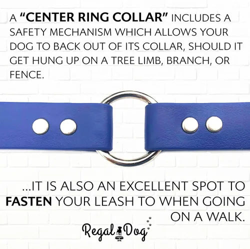 Miniatura 8 de Collar impermeable para perro con anillo central resistente Collar para perros pequeños, medianos, grandes o XL, Azul Azul / Patchwork