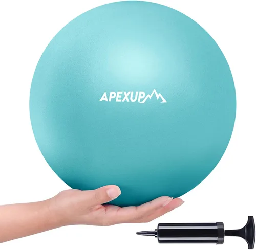 Miniatura 11 de APEXUP 9 Inch Pilates Ball Small Exercise Ball for Yoga, Fitness, Balance, Core Workout, Physical Therapy Rosa