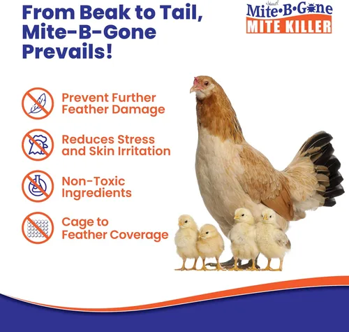Miniatura 6 de Mite-Be-Gone - Tratamiento natural de ácaros de 1 galón que mata a humanos, polvo, pollo, aves, alfombras y ratas ácaros en hogares y granjas