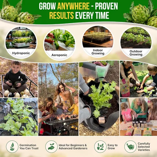 Miniatura 5 de Paquete de semillas de alcachofa Green Globe 2G - Más de 35 semillas autóctonas sin OMG para plantar verduras en paquetes de semillas individuales