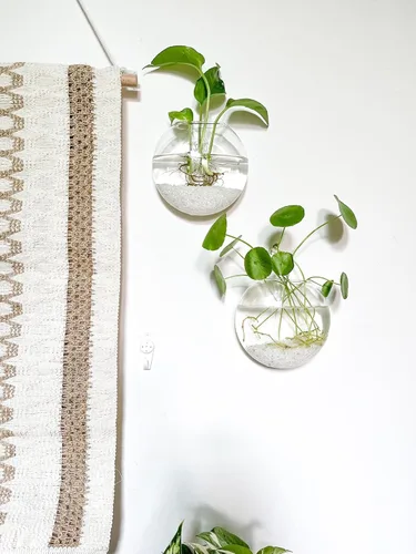 Miniatura 2 de Kingbuy Estación de Propagación de Plantas Colgante de Vidrio para Pared - Paquete de 2 Jarrones de Globo Oblato Montados en la Pared para Plantas