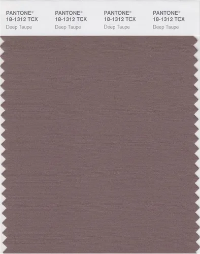 Miniatura 15 de PANTONE Tarjeta de muestra de color inteligente 18-1314X, bellota
