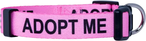 Miniatura 3 de Native Pup Adopt Me - Collar para perro (talla S, azul)