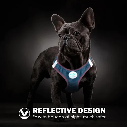 Miniatura 6 de PHOEPET Arnés para perro, arnés reflectante ajustable para perro, chaqueta suave para caminar para mascotas con 2 ganchos de metal para correa