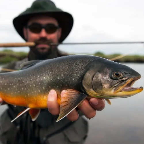 Miniatura 6 de HERCULES Tippet de pesca con mosca, paquete de 3 con soporte para volquetas, 55 yardas
