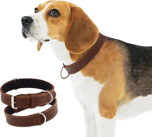 Miniatura 5 de Collar de perro de cuero genuino, acolchado suave, de cuero fuerte, hebilla de níquel inoxidable Lo mejor para cachorros, razas pequeñas, medianas