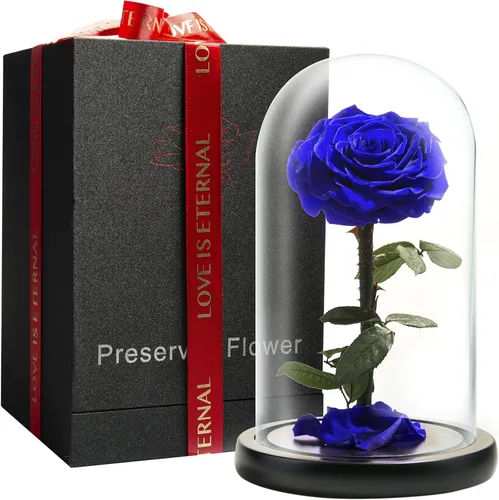 Miniatura 11 de Rosa Preservada para Siempre – Rosa Eterna en Cúpula de Cristal – Rosa de la Bella y la Bestia para Mamá – Flores Frescas para Entrega Prime