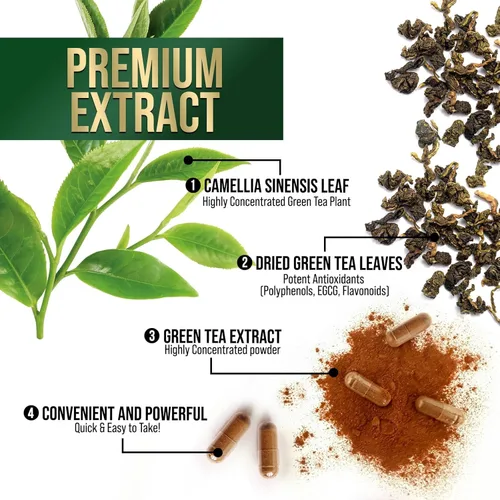 Miniatura 5 de Extracto de té verde 98% EGCG estandarizado – 3 veces de fuerza para energía natural – Auxiliar cardíaco con polifenoles – cafeína suave, fabricado