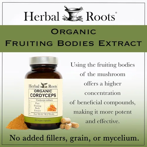 Miniatura 5 de Herbal Roots Organic Cordyceps - Cápsulas de hongos con extracto corporal fructífero - Apoyo inmunológico y energético - 60 cápsulas veganas
