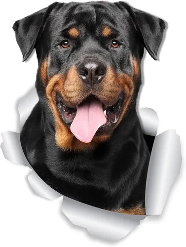Miniatura 7 de Winston & Bear Calcomanías divertidas de pared para perros Rottweiler, paquete de 2, calcomanías 3D Rottie para paredes, automóviles, inodoro y más