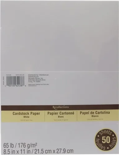 Recollections - Paquete económico de papel de cartulina, 8.5 x 11 pulgadas, color blanco (paquete de 2)