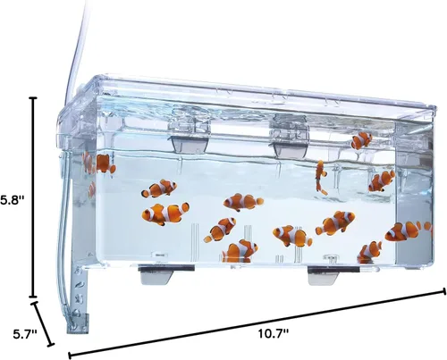 Miniatura 6 de Marina Hang-On Cría Caja, L