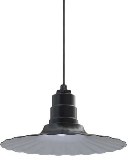 Miniatura 55 de Steel Lighting Co. Colgante Eagle Rock Lámpara montada en el techo Onda radial de 16 pulgadas vástago de 12 pulgadas Acero resistente