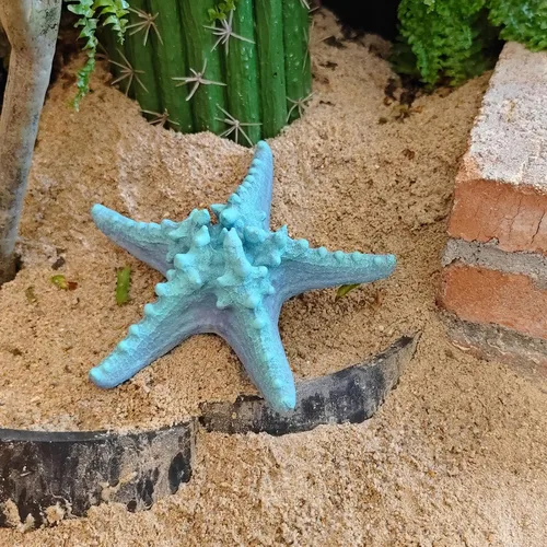 Miniatura 2 de Centro de mesa azul decorativo de estrella de mar, artesanía de estrellas de mar reales, resina hecha a mano, estrella de mar de mar estilo playa