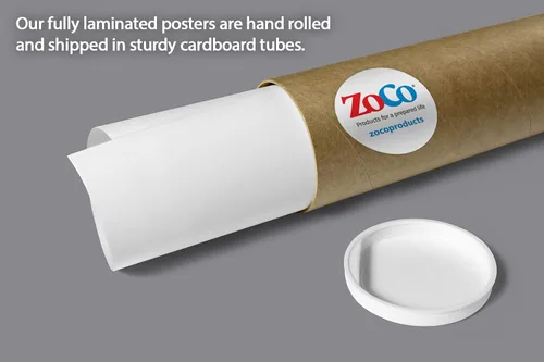 Miniatura 6 de ZOCO - Póster de RCP y asfixia (paquete de 2) - Instrucciones de maniobra Heimlich e instrucciones de primeros auxilios para bebés, niños y adultos