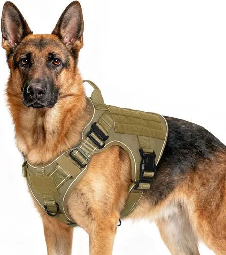 Miniatura 19 de rabbitgoo - Arnés táctico para perros pequeños, arnés resistente para mascotas con asa, chaleco de servicio sin tirones para razas pequeñas, chaleco