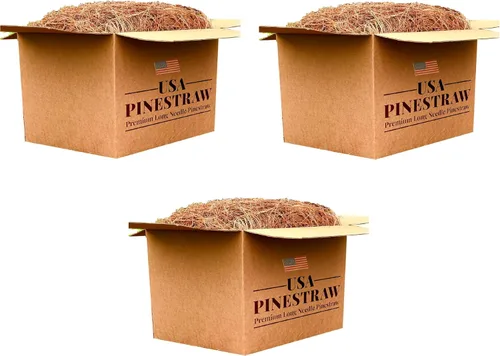 Miniatura 24 de Paja de pino de EE. UU., mantillo de aguja de pino de primera calidad (mantillo de aguja de pino, cubre 100 pies cuadrados, 2 juegos)