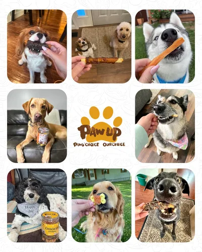 Miniatura 8 de PAWUP Golosinas para Perros Cecina de Pollo Envuelta en Batata Dulce, Ingredientes Naturales con Taurina, Golosinas para Perros Sin Granos, 12.5 oz