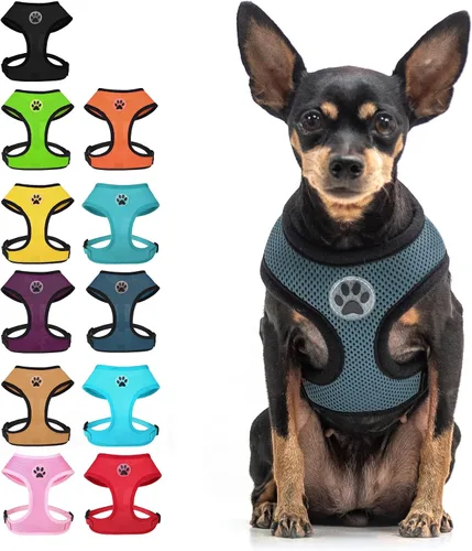 Miniatura 24 de BINGPET Arnés para perro sin tirones, arnés de chaleco tipo step-in de malla para todo clima para perros pequeños, arnés de malla transpirable