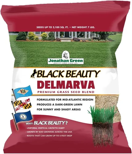 Jonathan Green (10391) Black Beauty Delmarva - Semilla de césped (hecha para Maryland, Delaware, Virginia), semillas de césped de temporada fría (7