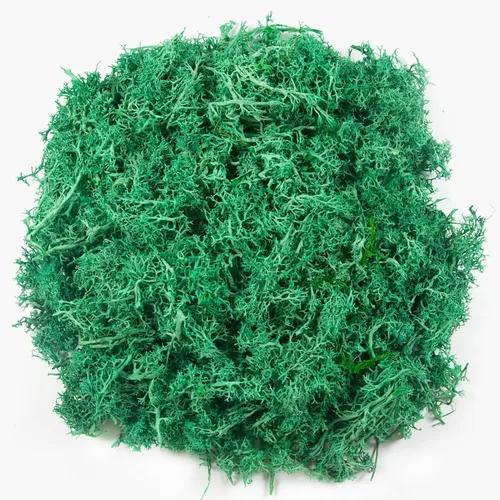 Miniatura 12 de Musgo falso de 3.5 onzas para plantas de interior, musgo blanco artificial realista preservado para manualidades, musgo de reno para centros de mesa