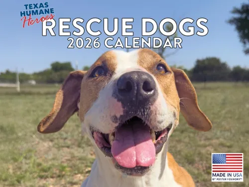 Miniatura 91 de Calendario de pared mensual 2025 Great Dane de 12 meses, fabricado en Estados Unidos
