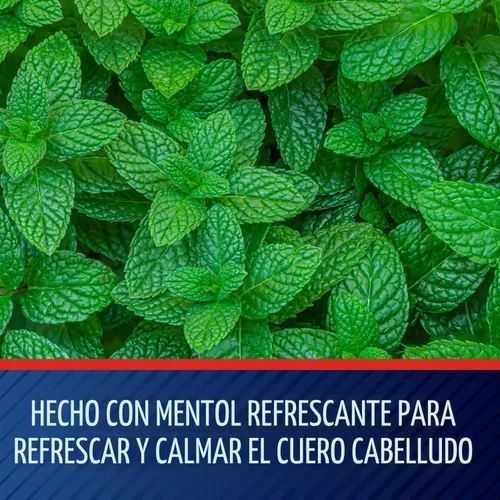 Miniatura 6 de Champú Selsun Azul Medicado Máxima fuerza anti caspa, 11 onzas