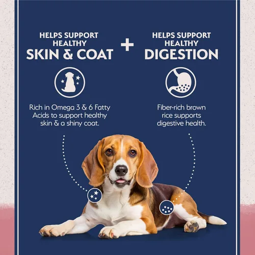 Miniatura 3 de Natural Balance Alimento seco para perros adultos de ingredientes limitados con granos saludables, receta de salmón y arroz integral, 24 libras