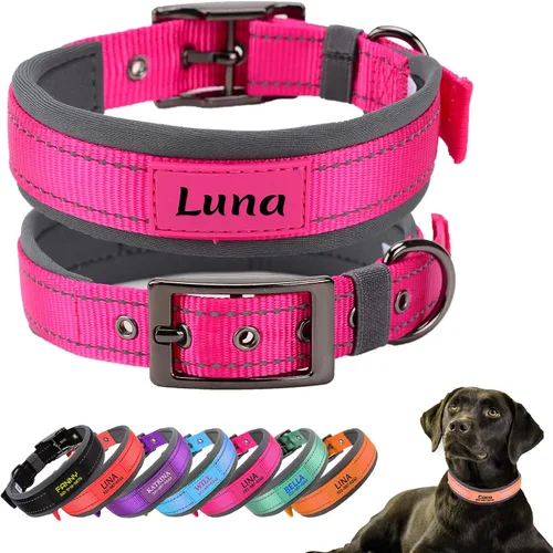 Miniatura 11 de Collares de perro personalizados con nombre de mascota y número de teléfono, acolchado de neopreno suave, collar de perro grueso y fuerte, collar