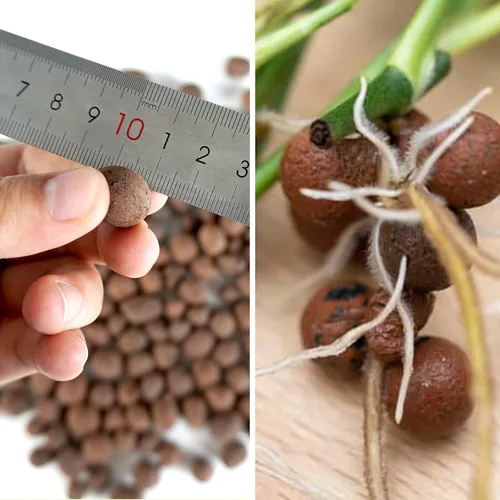 Miniatura 2 de Leca - Guijarros de arcilla expandida de 1 libra, medios de cultivo para plantas de interior, suministros de sistema de jardinería de cultivo