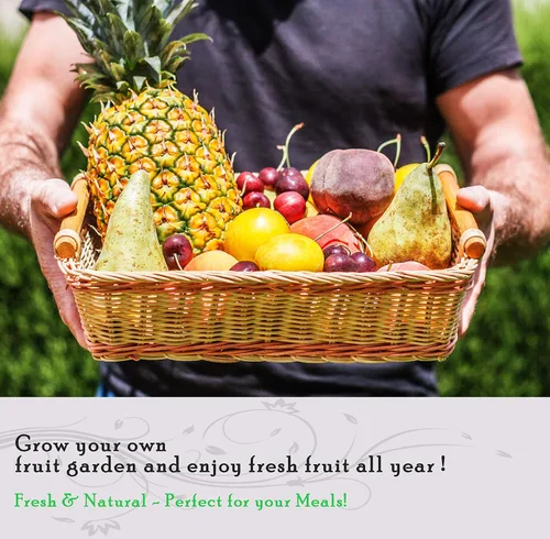 Miniatura 4 de Paquete variado de más de 1300 semillas de frutas, cultiva 8 jugosas frutas de verano, tomates, melones, bayas y más, kit de inicio de reliquia