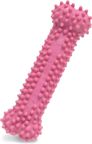 Juguete para masticar para cachorros Nylabone, Petite., Hueso, XS, Rosado