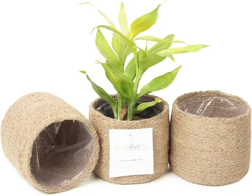 Miniatura 11 de Cesta de maceta de yute - Cubiertas de cuerda de yute tejidas para decorar suculentas de interior/exterior, macetas pequeñas - Juego de 2