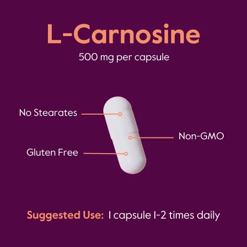 Miniatura 5 de BESTVITE L-Carnosina 500mg (240 cápsulas) (120x2) Sin rellenos - Sin estearatos - Sin OMG - Sin gluten