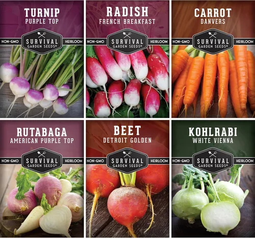 Survival Garden Seeds Colección de semillas de raíz vegetal, paquete de 6: zanahoria Danvers, nabo superior, rábano francés, colinabo, rutabaga,