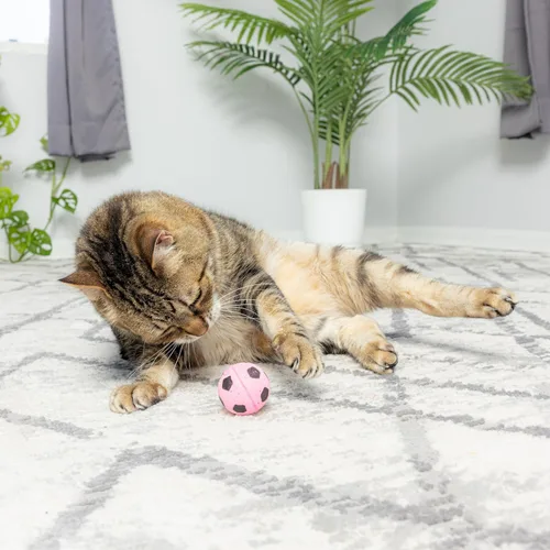 Miniatura 8 de SPOT Pelota de fútbol de esponja para gatos y gatitos, juguete de peluche interactivo y colorido, divertido de batear y perseguir, mantiene a