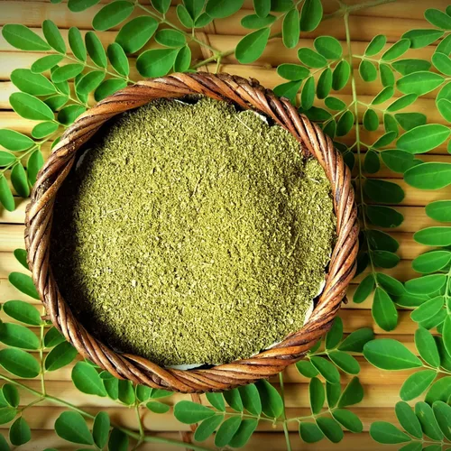 Miniatura 3 de 100 semillas de moringa para plantar, semillas de plantas vegetales de Moringa Oleifera para jardinería al aire libre