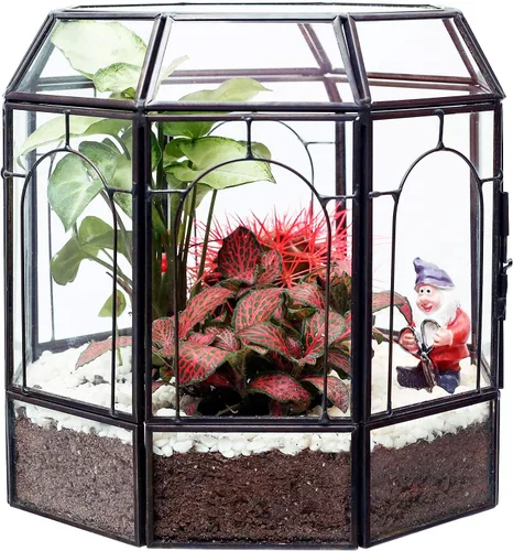 Miniatura 8 de REDHUGO Terrario grande de vidrio hecho a mano, caja de exhibición central, maceta de regalo, contenedores para terrarios de interior, casa
