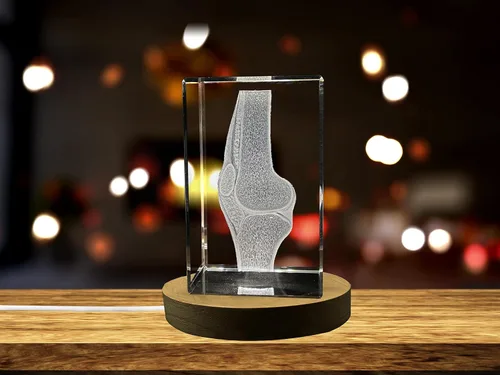 Miniatura 8 de Regalo para médicos 3D grabado en cristal recuerdo/regalo/decoración/(pequeño (3 x 2 x 2 pulgadas), arterias)