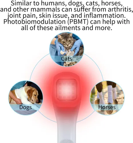 Miniatura 5 de Dispositivo de terapia de luz para mascotas, ayuda a perros y gatos a sufrir, artritis, dolor de ojo, inflamación y cicatrización de heridas, luz