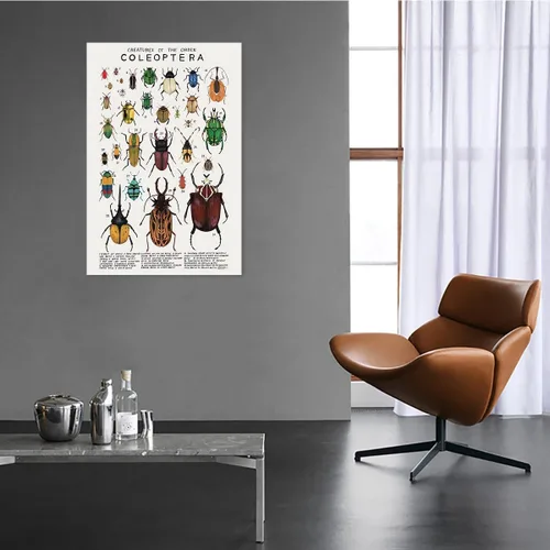 Miniatura 3 de Póster de lienzo de animales para pared, imágenes de animales, guía de coleópteros, insectos, escarabajos, impresiones de conocimiento, estética