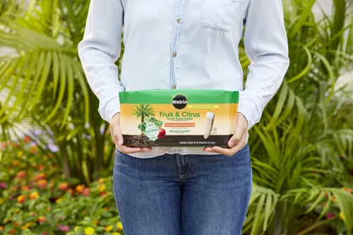 Miniatura 2 de Miracle-GRO Picos de alimento para plantas de frutas y cítricos, 12 picos (paquete de 2)