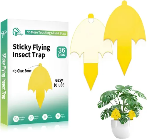 Innovadoras trampas para mosquitos de hongos amarillos 2.0, más fáciles de usar, sin tocar pegamento ni insectos, 36 trampas, especies objetivo para