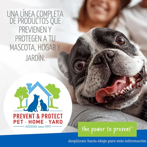 Miniatura 6 de ADAMS Pulgas y garrapatas en aerosol para el tratamiento de interiores de la casa, mata chinches, pulgas y garrapatas, para alfombras, muebles