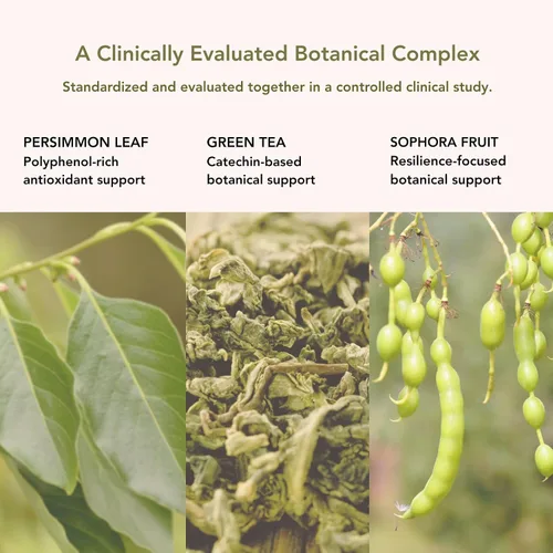 Miniatura 5 de BLH308 Suplemento para el crecimiento del cabello para mujeres y hombres – 60 tabletas – Complejo botánico clínicamente evaluado – Hoja de caqui, té