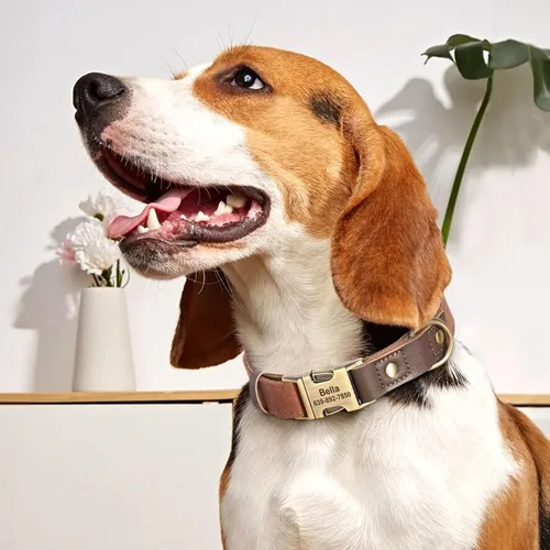 Miniatura 2 de Collares personalizados de piel sintética suave con nombre de mascota y número de teléfono para perros medianos, collares ajustables y duraderos